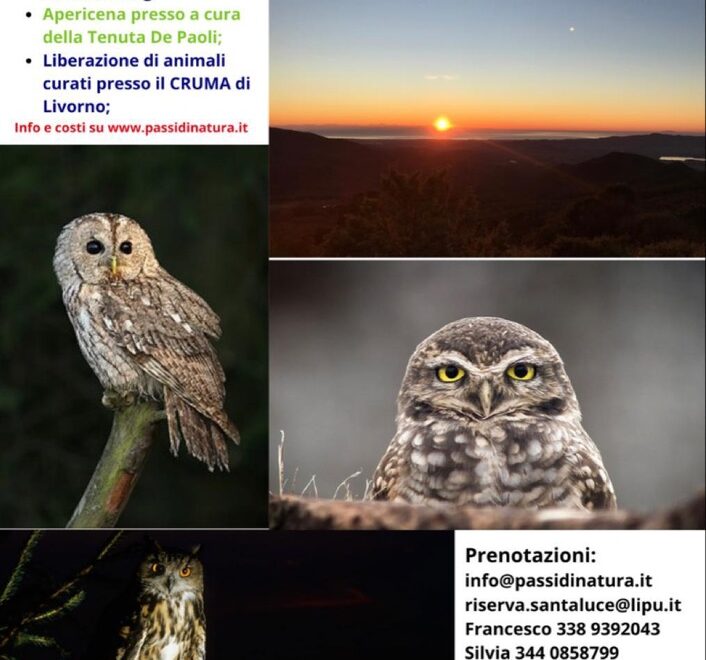 EVENT ON NOCTURNAL BIRDS OF PREY